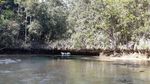 Danau Tobelo, Keindahan Tersembunyi di Pulau Labengki