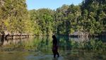 Danau Tobelo, Keindahan Tersembunyi di Pulau Labengki