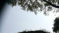 Benteng Martello