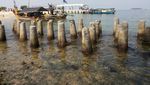 Daripada Molor, Mending ke Pulau Kelor
