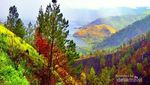 Decak Kagum Air Terjun Sipiso-piso, Tanah Karo
