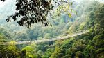 Deg-degan! Ini Jembatan Gantung Terpanjang di Indonesia