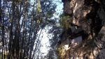 Dekat dengan Kematian di Tana Toraja