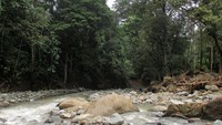 Batu-batu besar yaang menambah keeksotisan air terjun