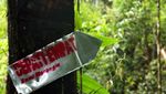 Depati Empat, Danau Cantik di Ketinggian 1.200 Mdpl
