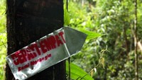 Petunjuk arah Danau Depati Empat