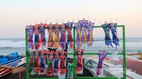 Panorama pantai dengan layang-layang