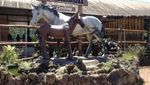 DeRanch, Ide Liburan Natal di Bandung
