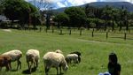 DeRanch, Ide Liburan Natal di Bandung