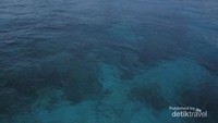 Jernih nya laut Derawan