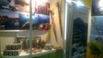 Derawan Pamer Keindahan di Pameran Gebyar Wisata