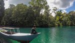 Derawan, Surganya Traveler Pecinta Laut