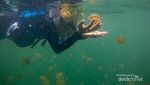 Derawan, Surganya Traveler Pecinta Laut