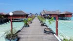 Derawan, Surganya Traveler Pecinta Laut