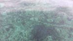 Derawan yang Tetap Menawan