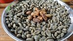 Desa Bersuhu Dingin di Aceh Ini Hasilkan Kopi Mantap