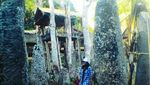 Desa Bori, Situs Warisan UNESCO di Toraja