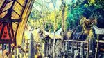 Desa Bori, Situs Warisan UNESCO di Toraja