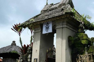 Desa di Bali yang Benci Poligami