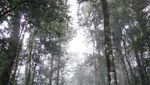 Desa Indah di Pedalaman Kalimantan