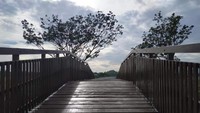 jembatan kayu di sungai kecil di Salah satu lokasi  di Kawasan desa