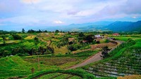 Hijau dan tenang adalah ciri Nagari Tuo Pariangan