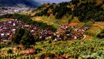 Desa Tieng di Wonosobo yang Indah dan Penuh Kenangan