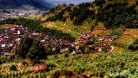Desa Tieng, dengan efek Thiltshift