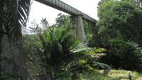 Jembatan ekstrem Hatonduhan