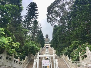 Destinasi Solo Traveling di Hong Kong, The Big Buddha
