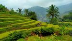 Destinasi Wisata Desa Gunung Jampang