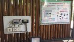 Di Ancol, Kamu Bisa Belajar Bikin Lampu dari Buah Kelapa