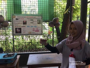 Di Ancol, Kamu Bisa Belajar Bikin Lampu dari Buah Kelapa