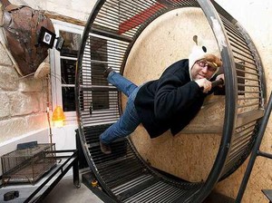 Di Hotel Ini Anda Bisa Jadi Hamster!
