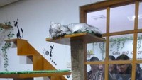 Pengunjung yang baru datang bisa melihat dari luar jendela