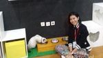 Di Kafe Ini Anda Bisa Makan Eskrim Ditemenin Kucing Lucu!