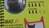 Sedikit bioadata kucing yang ada disana