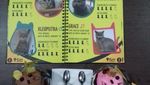 Di Kafe Ini Anda Bisa Makan Eskrim Ditemenin Kucing Lucu!