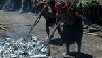 Di Kampung Obia, Ubi Dimasak Menggunakan Batu Panas