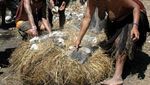Di Kampung Obia, Ubi Dimasak Menggunakan Batu Panas