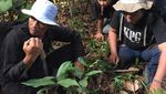 Di Karawang Bisa Lihat Hewan Langka Indonesia