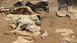 Di Pantai Ini, Malin Kundang Dikutuk Jadi Batu