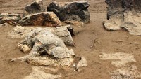 Begini penampakan batu Malin kundang yang ada di pantai ini.