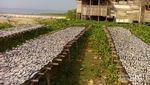 Di Pantai Ini, Nelayan Bugis Adakan Pesta Laut Setiap Tahun
