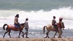 Di Pantai Ini, Turis Bisa Berenang di Sebelah Pesawat!