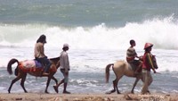 Naik kuda di pinggir pantai