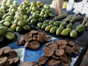 Di Papua, Gak Gaul Kalau Belum Ngunyah Buah Pinang!