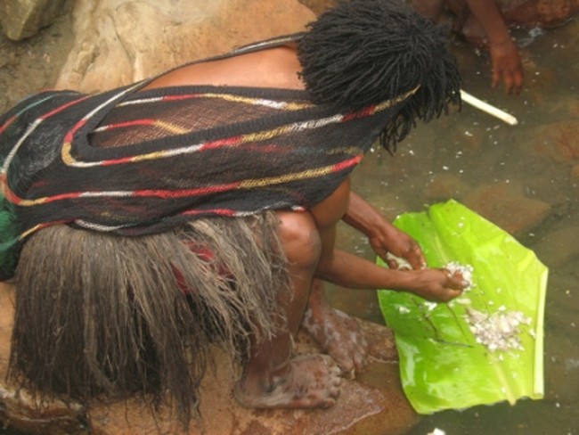 Di Salt spring, Wamena Garampun Ada di Gunung