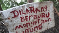 Larangan untuk berburu lutung jawa