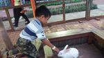Di Serpong Ada Wisata City Farm, Tahu?